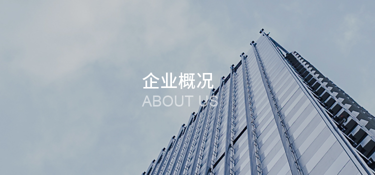 企業(yè)概況